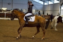 © Filippa Westerlund