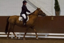 © Filippa Westerlund