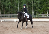 © Filippa Westerlund