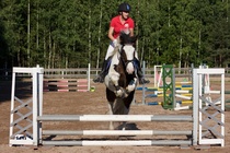 © Filippa Westerlund