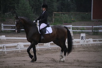 Jenni Ek - Biko (rekisterinimi Igo Drosmigais), 
© Rondy Stenman / Teresa Pollari