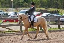 © Filippa Westerlund