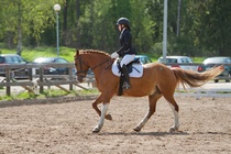 © Filippa Westerlund