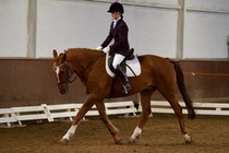 © Filippa Westerlund