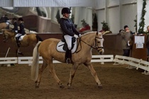 © Filippa Westerlund