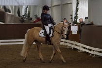 © Filippa Westerlund