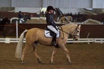 © Filippa Westerlund