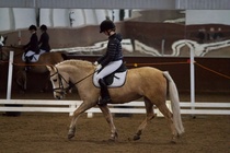 © Filippa Westerlund