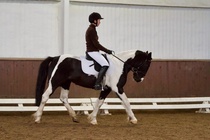 © Filippa Westerlund