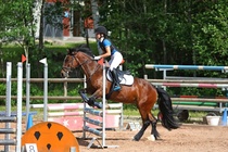 Kuva Primus / Emilia Alamäki