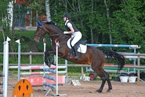 Kuva Primus / Emilia Alamäki