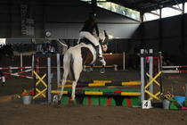 Kuva: Maiju Kaarsalo-Koskela