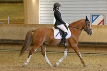 Kuva Primus / Emilia Alamäki