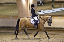 Kuva Primus / Emilia Alamäki