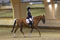 Kuva Primus / Emilia Alamäki