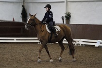 © Filippa Westerlund