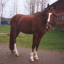 © Karkki Issakainen