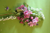 © Maiju Kaarsalo-Koskela