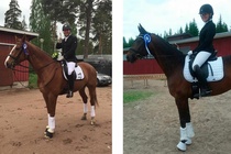 RS Majoranin edustajilla on taas ollut viikonloppu täynnä kullan kimallusta!

Teemu Ahtee hevosellaan Sarotti, aka Seppo, voitti tuplakultaa Harjun Oppimiskeskuksen kansallisissa kilpailuissa!! Perjantaina Vaativa B junioreiden esiohjelmasta ensimmäinen sija prosenteilla 64,363% ja lauantaina Vaativa B:3 -luokasta niin ikään ensimmäinen sija ja prosentit 63,011%! Eva Nurminen ja Hagels Safira pääsivät kirkkaimmalle mitalille Tampereen Ratsastusseura ry:n kansallisissa kisoissa 4-tason Helppo A -luokassa prosentein 65,167%!
Onnea TEEMU JA SEPPO sekä EVA JA SAFI!
#rsmajoran #majoranedustus