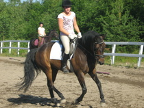 © Miira Kortekangas