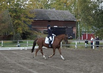 Lokakuun kisat 2024. Kuva Anni.