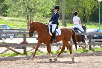 © Filippa Westerlund