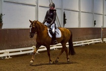 © Filippa Westerlund