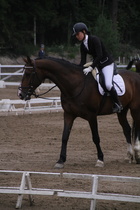 Rondy Stenman - Biko (rekisterinimi Igo Drosmigais), 
© Rondy Stenman / Teresa Pollari