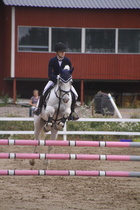 Hanna Kanerva - Silver (rekisterinimeltään Silver Promise) © Rondy Stenman / Teresa Pollari