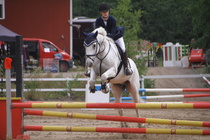 Hanna Kanerva - Silver (rekisterinimeltään Silver Promise) © Rondy Stenman / Teresa Pollari