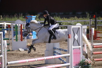 Viivi Sahramo - Silver (rekisterinimi Silver Promise) © Rondy Stenman / Teresa Pollari