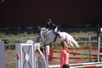 Viivi Sahramo - Silver (rekisterinimi Silver Promise) © Rondy Stenman / Teresa Pollari