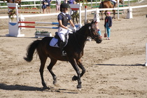 Milla Himberg – Osborne (rekisterinimi Otto-Osborn) © Rondy Stenman / Teresa Pollari
