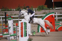 Hanna Kanerva - Silver (rekisterinimeltään Silver Promise) © Rondy Stenman / Teresa Pollari