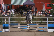 Hanna Kanerva - Silver (rekisterinimeltään Silver Promise) © Rondy Stenman / Teresa Pollari
