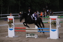 Jeanette Tinnis - Rex (rekisterinimi Rekets) © Rondy Stenman / Teresa Pollari