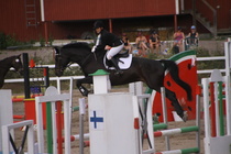 Jeanette Tinnis - Rex (rekisterinimi Rekets) © Rondy Stenman / Teresa Pollari