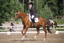 Susanna Salmio – Petrus (rekisterinimellään Peetrus) © Rondy Stenman / Teresa Pollari