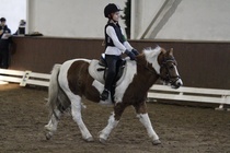 © Filippa Westerlund