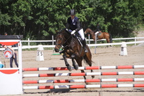 Ronja Nurminen – Osborne (rekisterinimi Otto-Osborn) © Rondy Stenman / Teresa Pollari