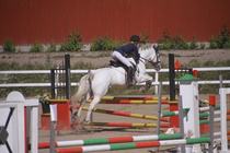 Hanna Kanerva - Silver (rekisterinimeltään Silver Promise) © Rondy Stenman / Teresa Pollari