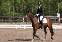 Camilla Finne - Waldo
© Anna K