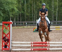 © Filippa Westerlund 