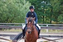 © Filippa Westerlund 