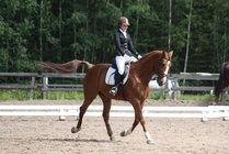 Iiris Kankkunen - Desperado
© Anna K