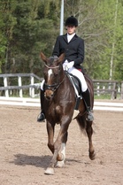 Myös Tiina Horto ja Ugana nähdään kouluratsastusklinikalla. Kaksikko kuvassa kesällä 2014, kuvaaja Anna Kannelsalo.