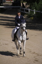Hanna Kanerva - Silver (rekisterinimeltään Silver Promise) © Rondy Stenman / Teresa Pollari
