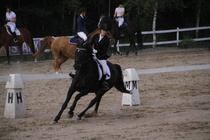 Jeanette Tinnis - Rex (rekisterinimi Rekets) © Rondy Stenman / Teresa Pollari