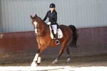 Jenni Ek - Pik Leon
© Anna K