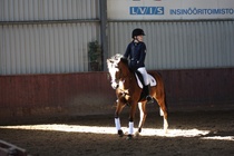 Sofia Sinisalmi - Bruno
© Anna K